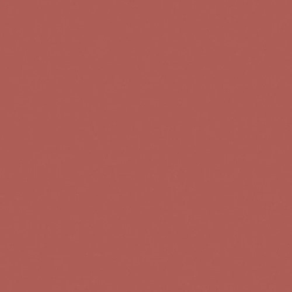 COVERGIRL Outlast Vegan Lip Stain - 65 Natural Blush - 0.06 fl oz